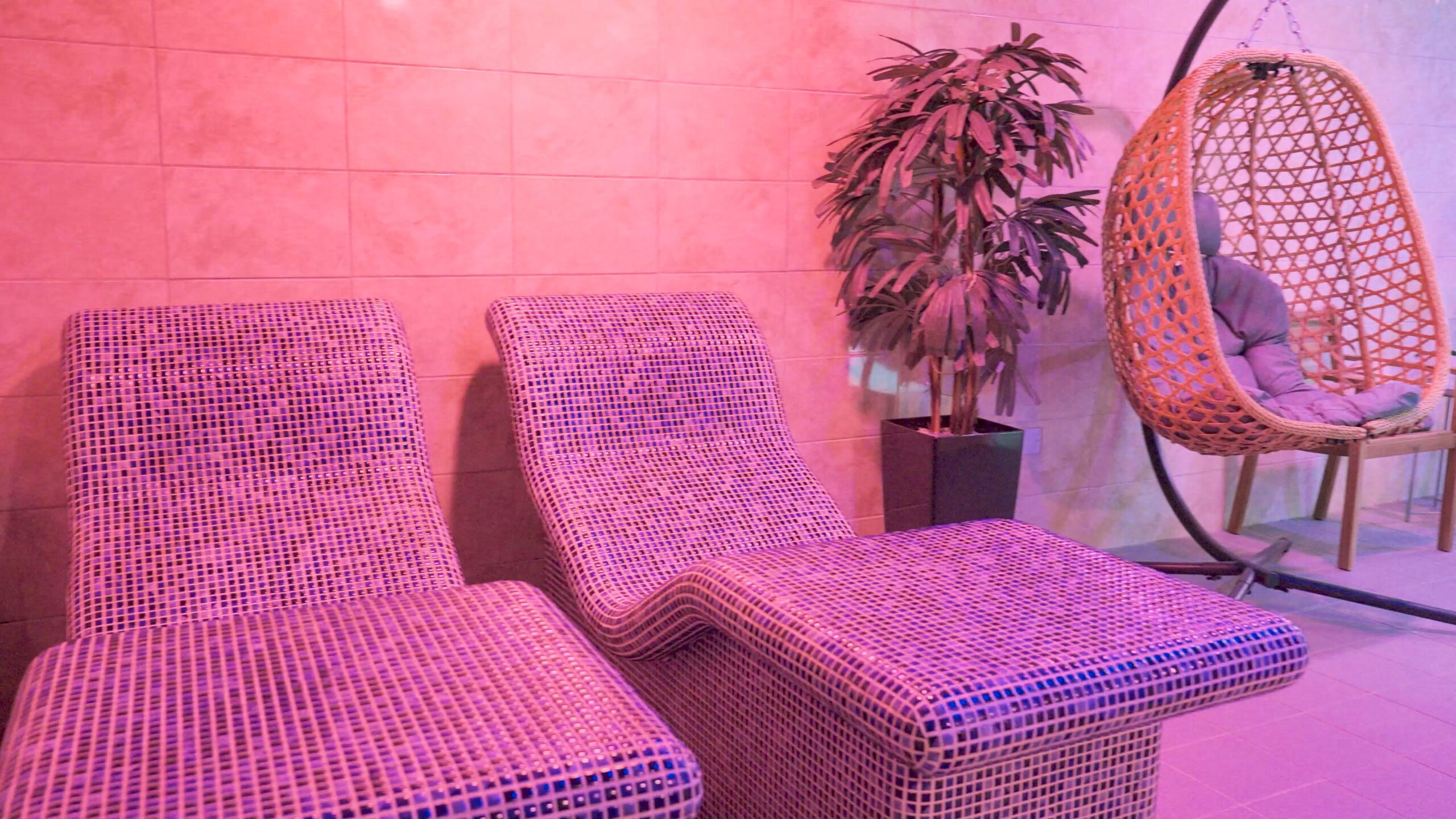 Little Miss Pampered